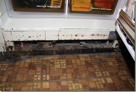 The bottom of my fridge and the linoleum I found under the moldy carpeting that was 20yrs old - Yuck!!