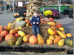 Vincent at the local farm stand