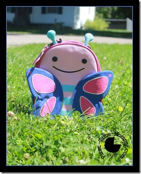 skip hop butterfly lunch bag