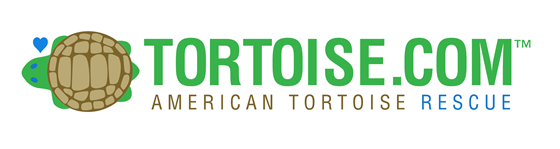 tortoise.com