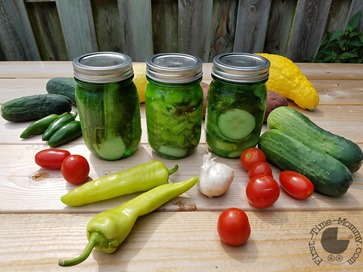 Pickled Peppers and Cucumbers