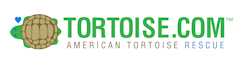 Tortoise.com
